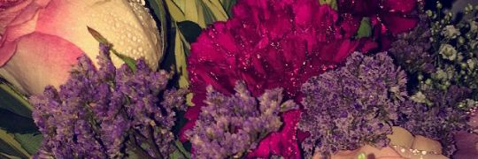 guevk35681's profile banner image