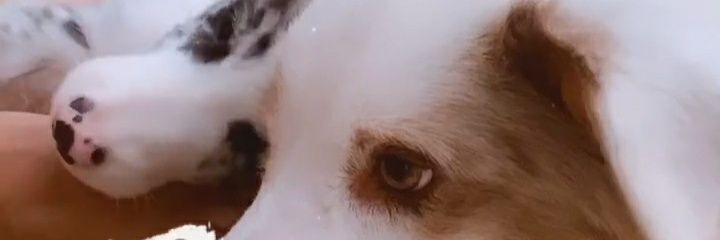 FernandaClara21's profile banner image