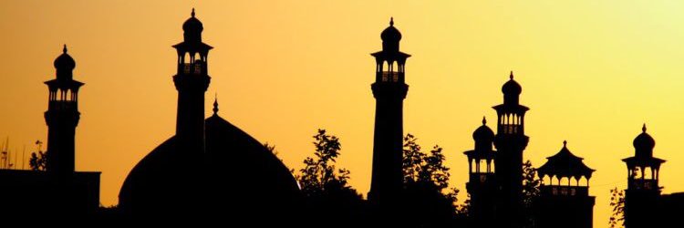 SDSU_MSA's profile banner image