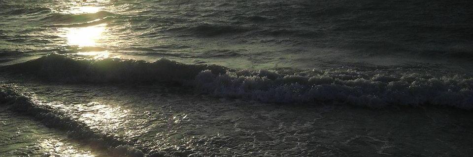 Janet_Casto's profile banner image