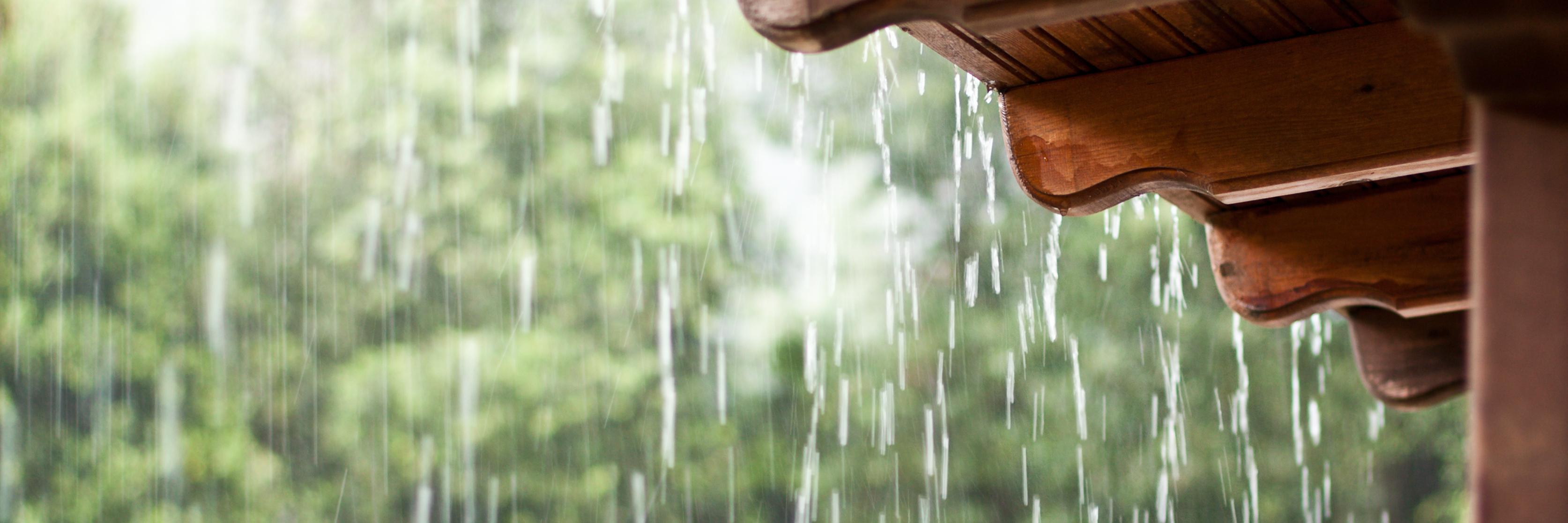RainRainApp's profile banner image