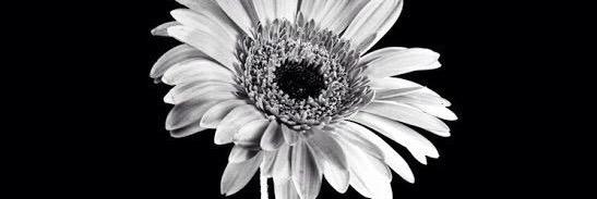 Mod91753414's profile banner image
