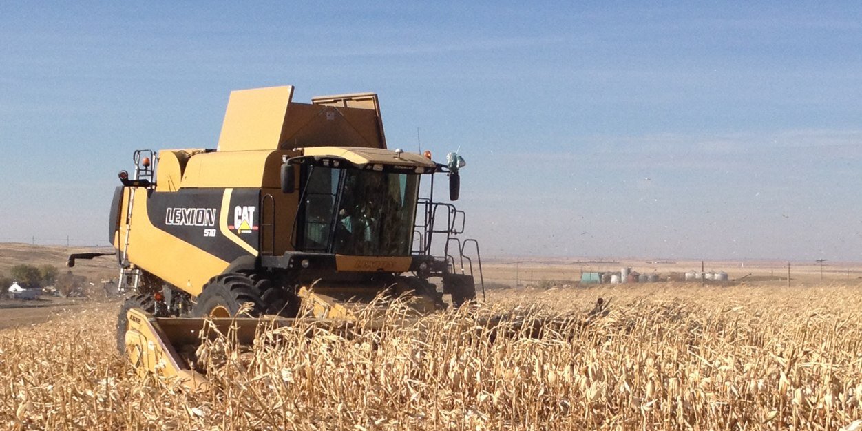 Mark Kuchuran banner