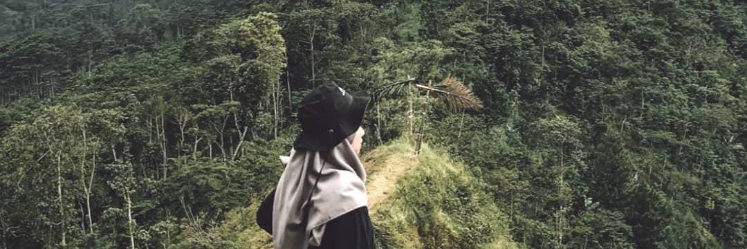 fiadiyant's profile banner image
