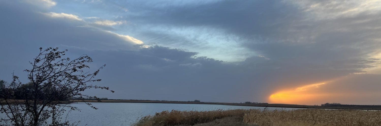 ericksobrian's profile banner image