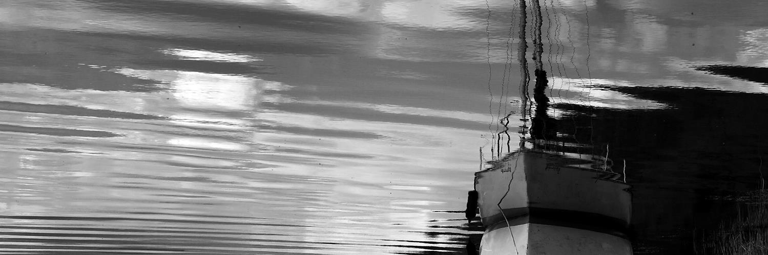 Chris(topher) Allan Perry 🇪🇺 banner