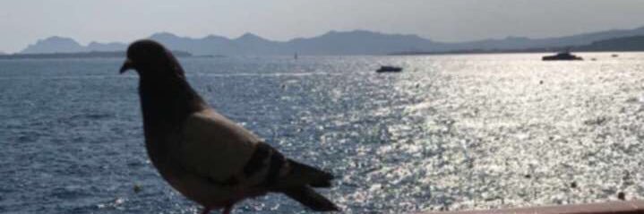 skrrtk's profile banner image