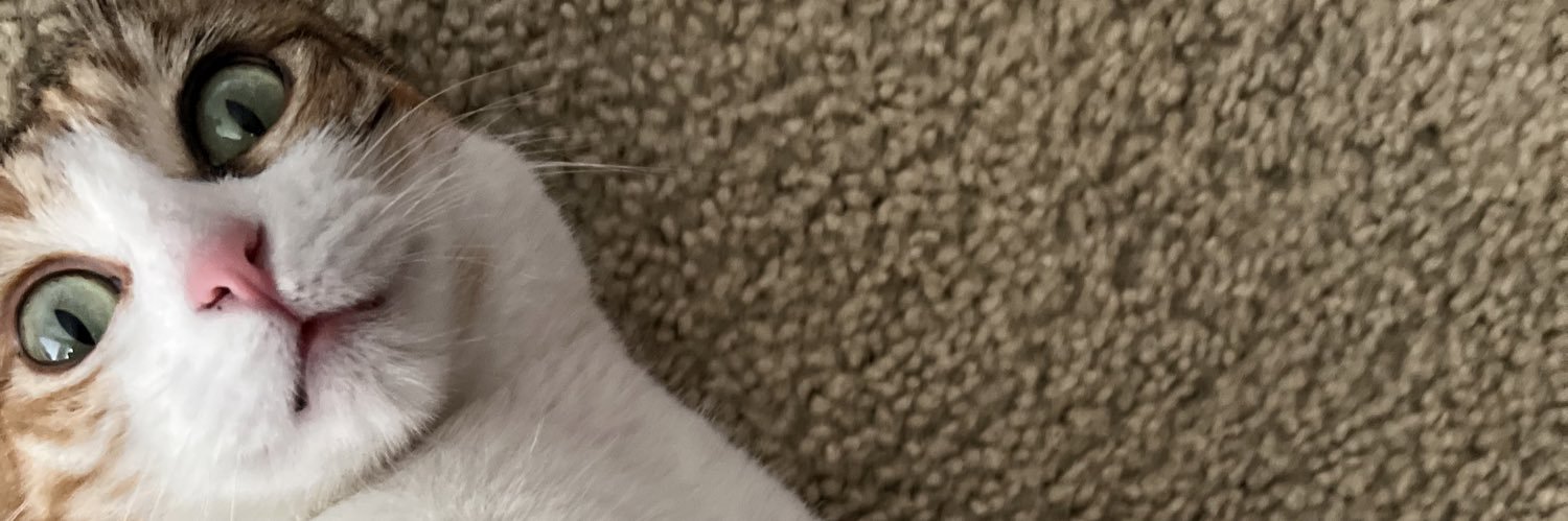 Toste_'s profile banner image