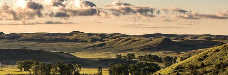 JamesMcdowell_'s profile banner image