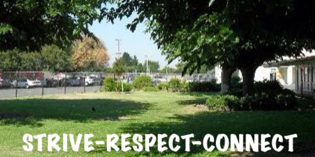 Sun Terrace STEM School ☀ banner