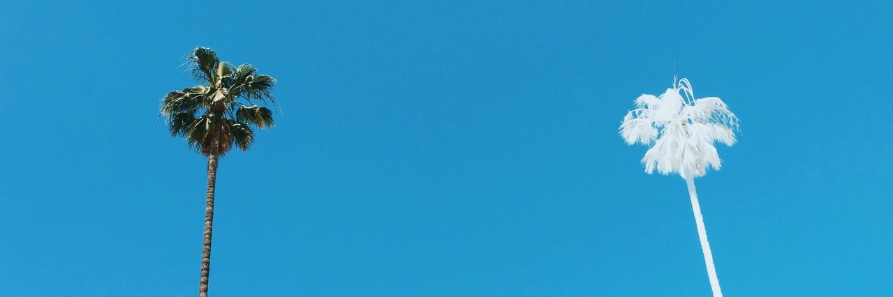 sar banner