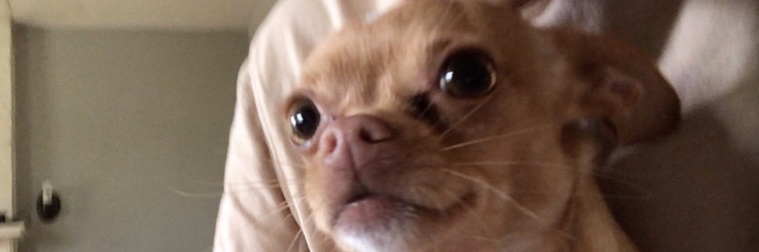 Ben_fields13's profile banner image