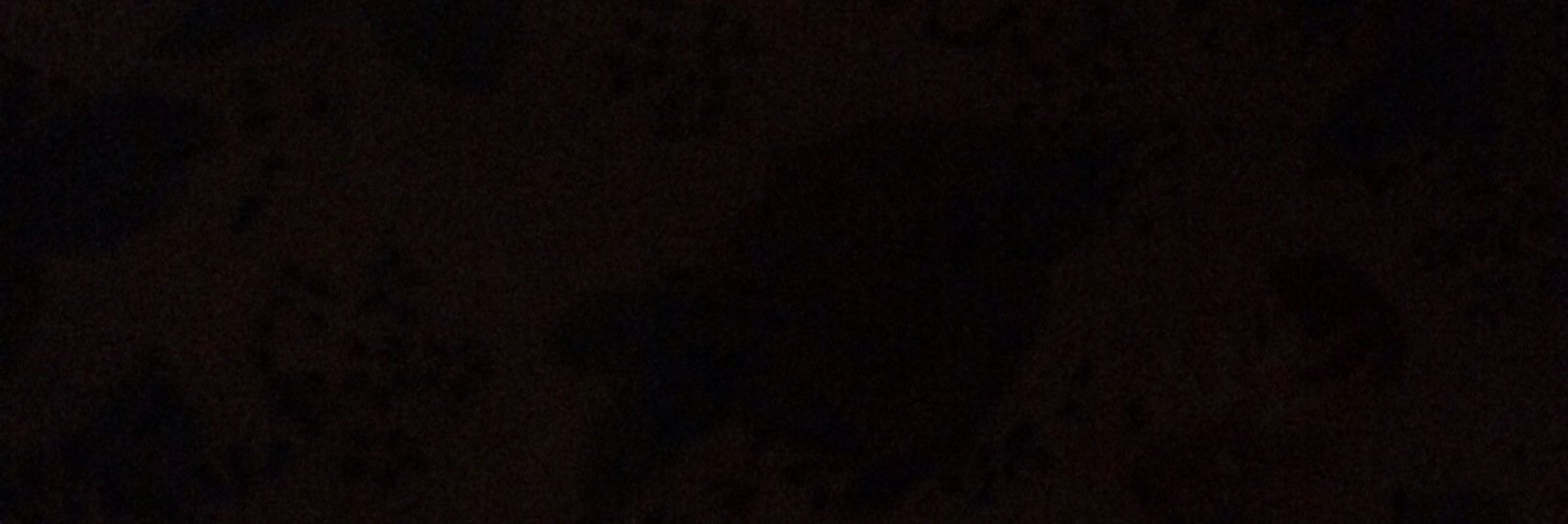 md__11123's profile banner image