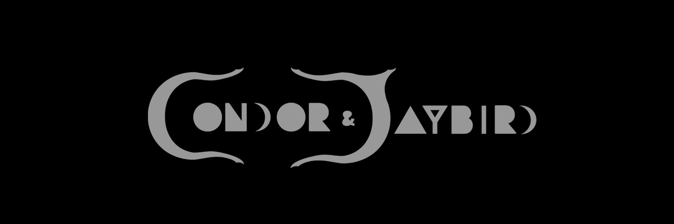 condor_jaybird's profile banner image