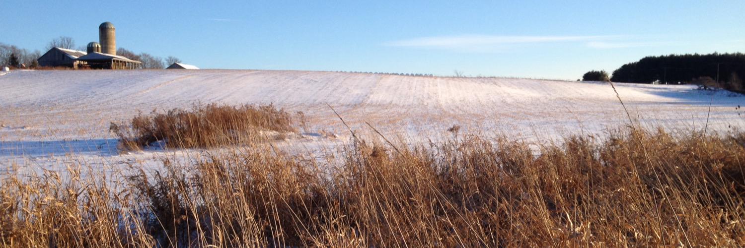 Russell Baigent banner