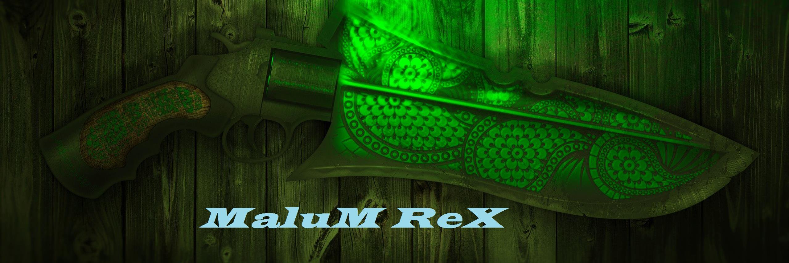 OutrageousGamin's profile banner image