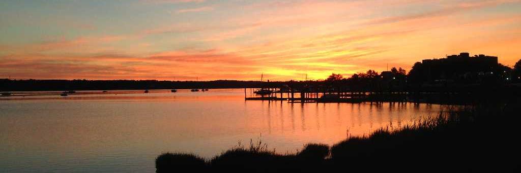 Suzanne Crowley banner