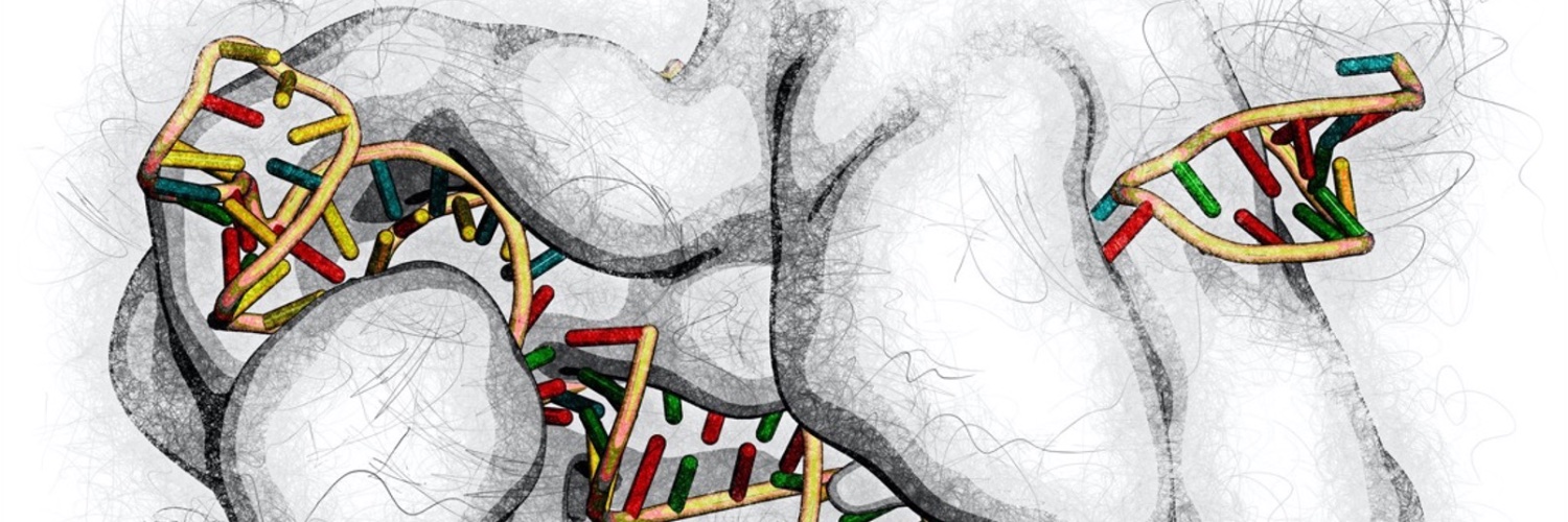 Khalid K. Alam ‎خالد كمال عالم banner