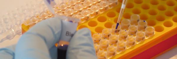 laBioauLabo Profile Banner