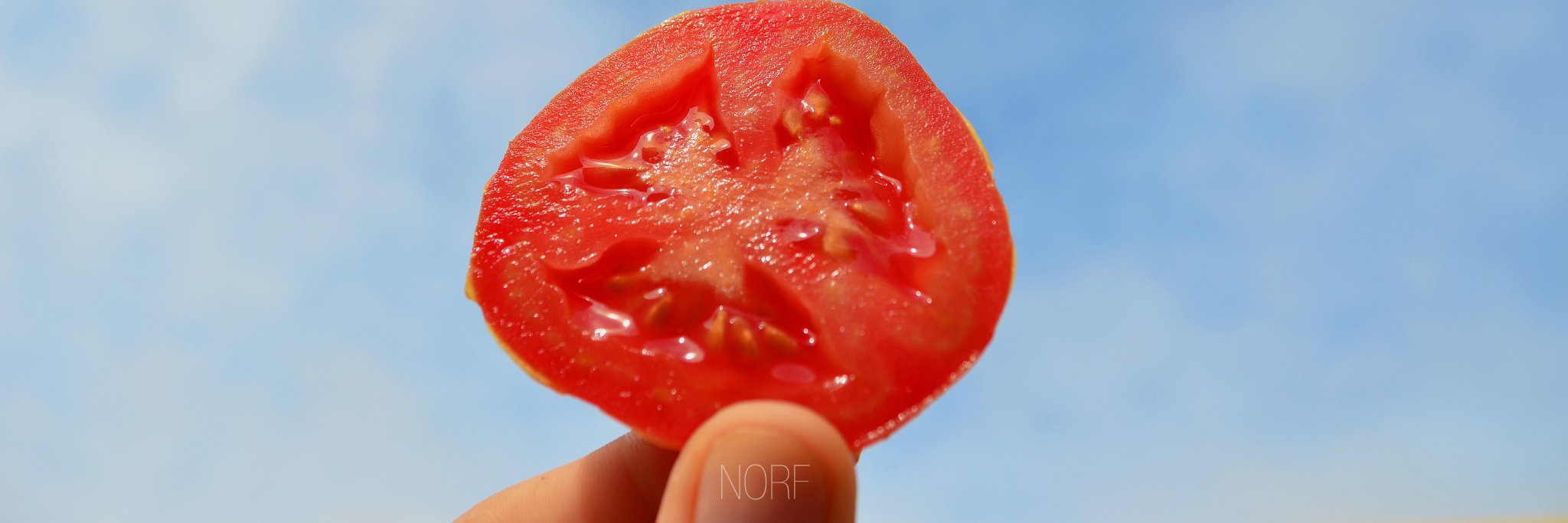 _norf's profile banner image