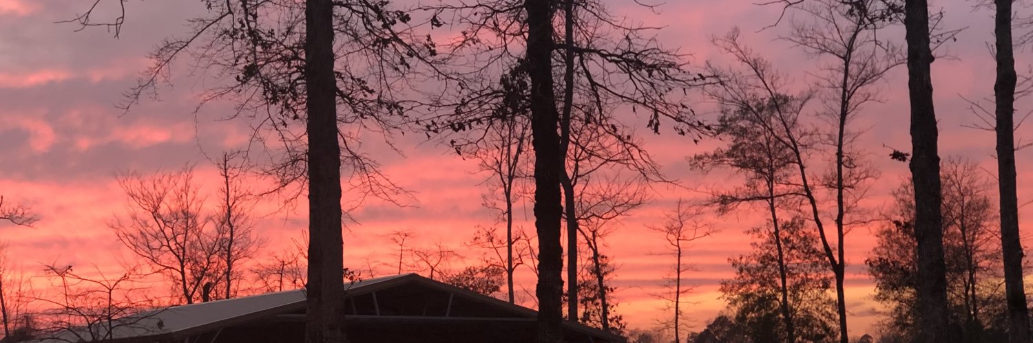 LcMartin1's profile banner image