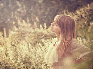 FannCindy's profile banner image