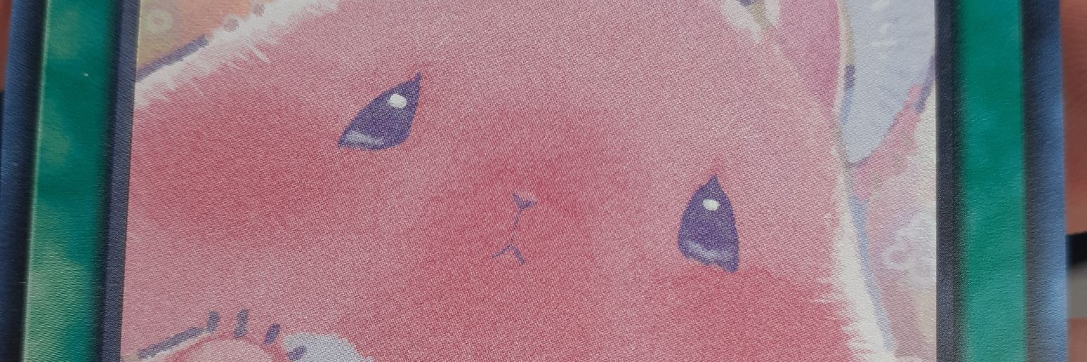 Jamie Geist banner