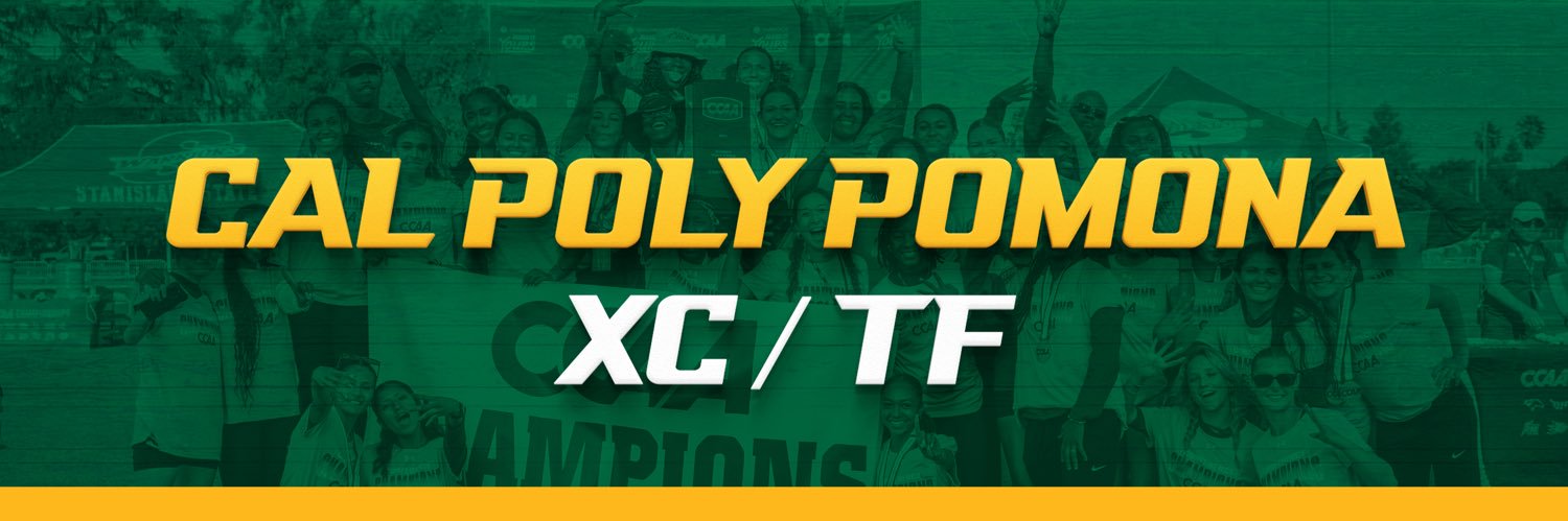CPPxctf's profile banner image