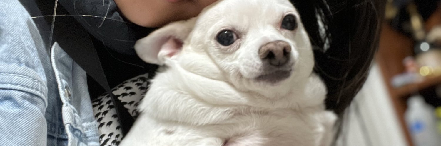 TheApeIsReal's profile banner image