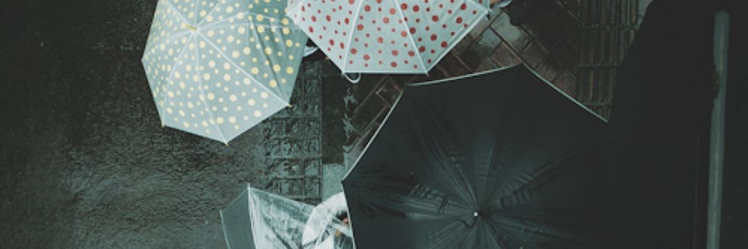 Tercerposeedor's profile banner image