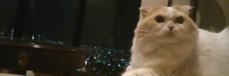 mortal225's profile banner image