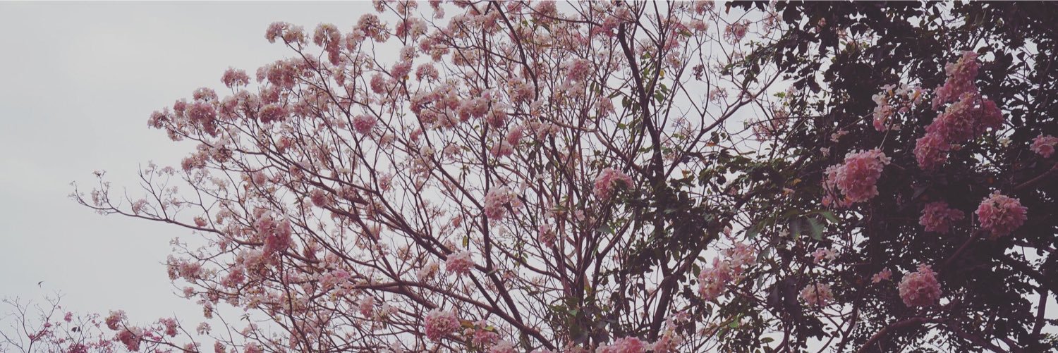 BK_ping's profile banner image