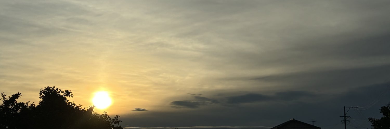 HsSyakuson's profile banner image
