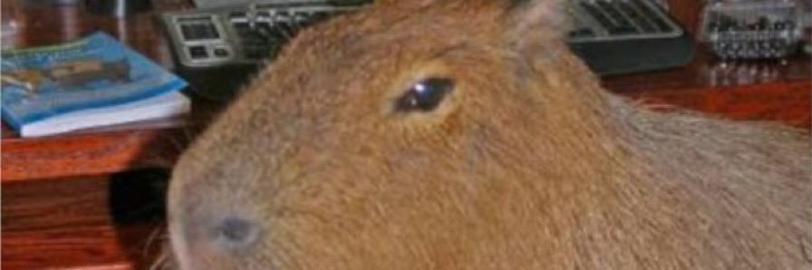 IsaisJacob's profile banner image