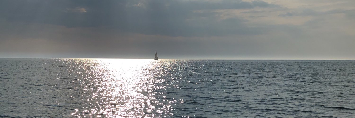MichelleSSolo's profile banner image