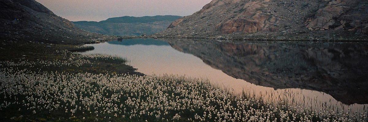 bilikatas's profile banner image