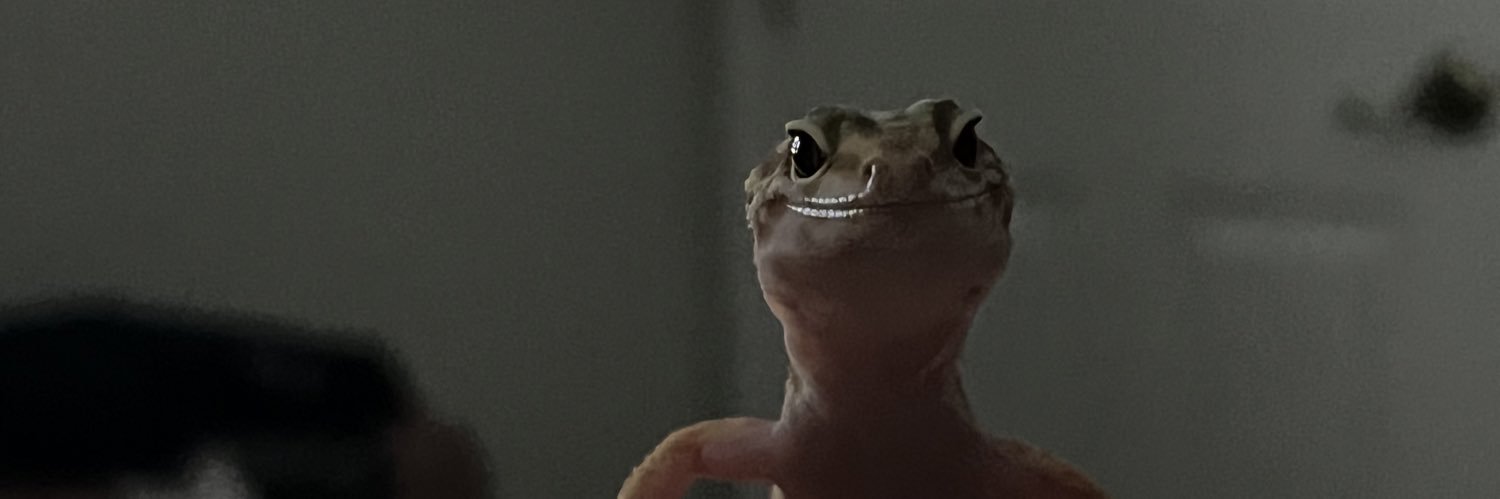 PaytonVeverka's profile banner image