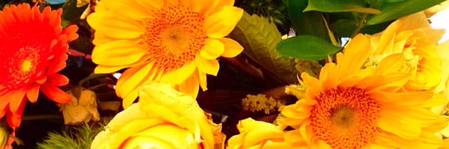 Tumblr_Beaches's profile banner image