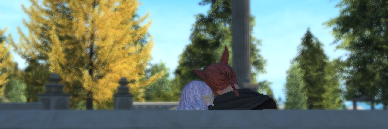elly banner