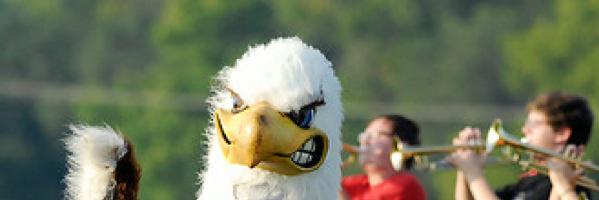 Frankton Football banner