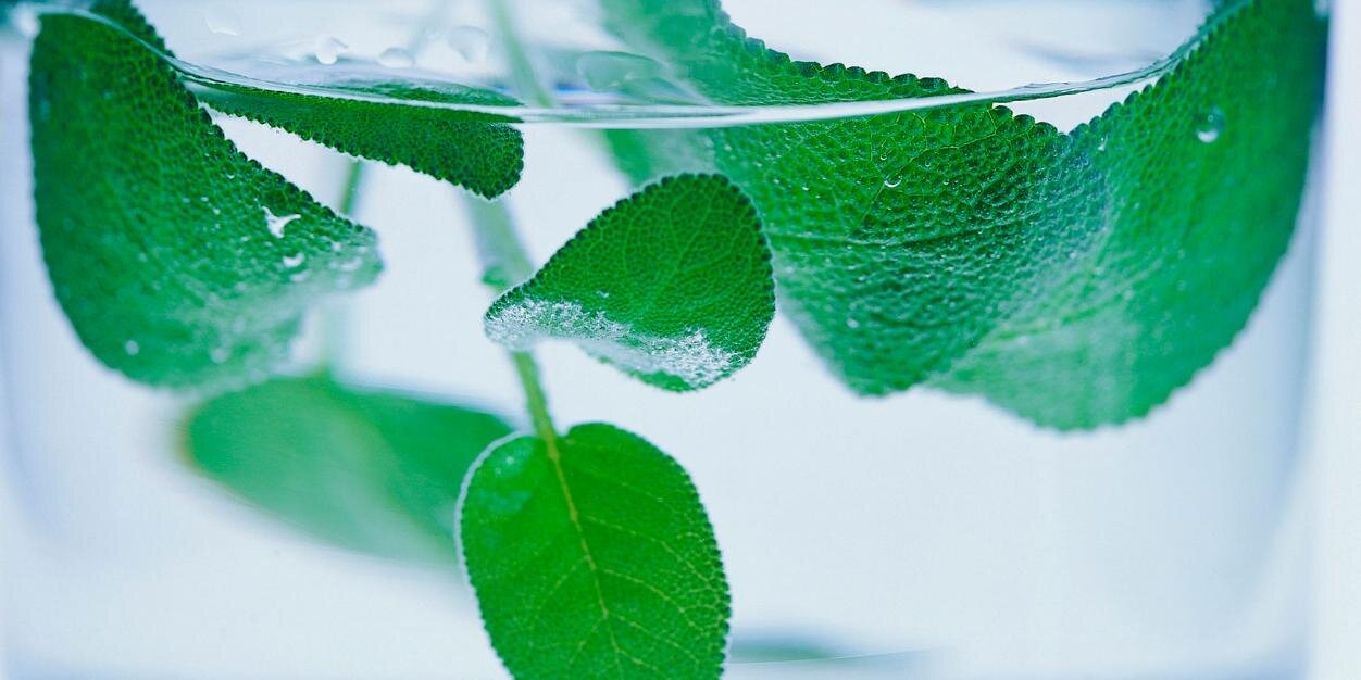 Бодрый banner