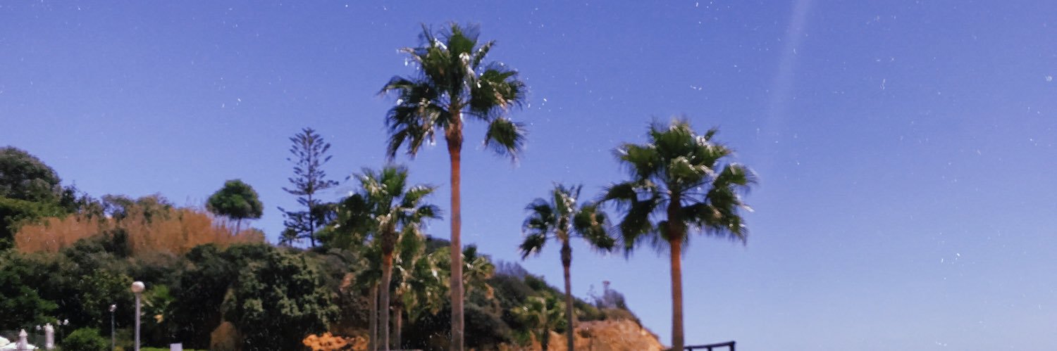 filipafq's profile banner image