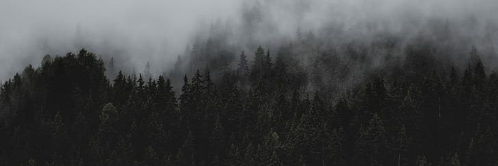LexMediaWork's profile banner image