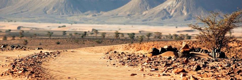 Samiaaa_'s profile banner image