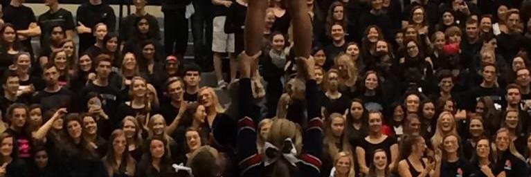 Joslyn Hegelmeyer banner