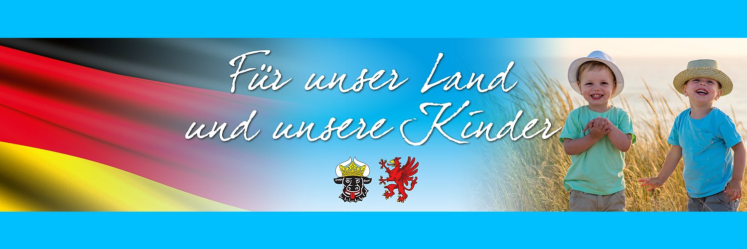 AfD_MSE's profile banner image