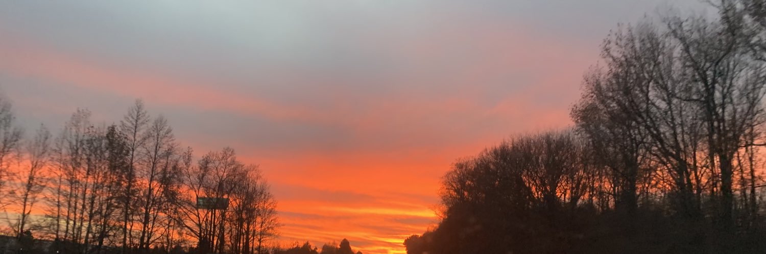 peterholee's profile banner image