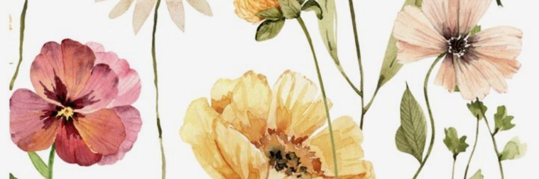 RojaDominguez's profile banner image