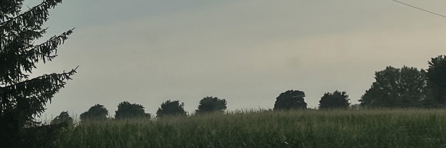 hailvand's profile banner image
