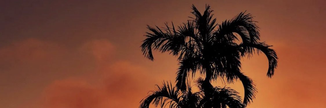 Anel2ka's profile banner image